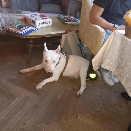 Le Belvedere Des Remparts فندق مبيت وإفطار لونْجورْ