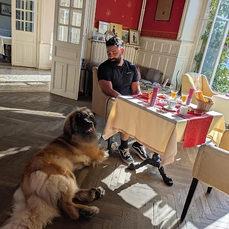 Le Belvedere Des Remparts 4* لونْجورْ