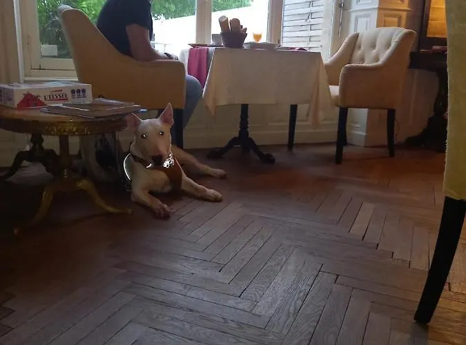 Bed & Breakfast Le Belvedere Des Remparts Langres