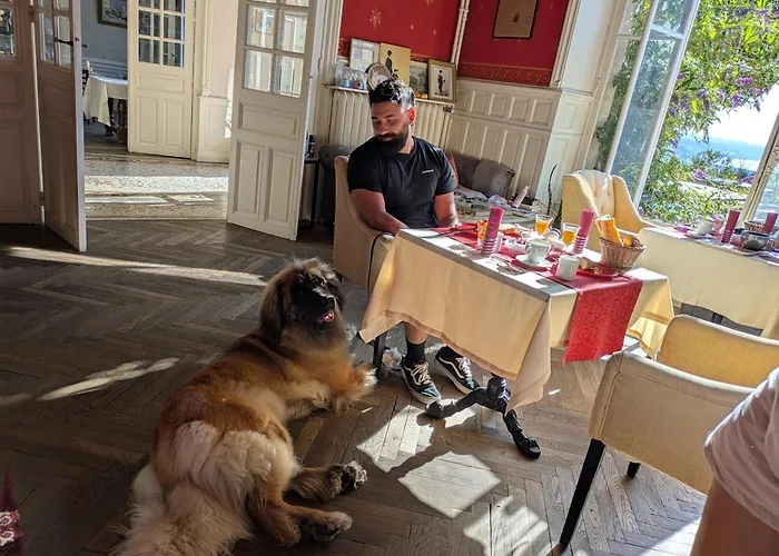 Le Belvedere Des Remparts 4* Langres