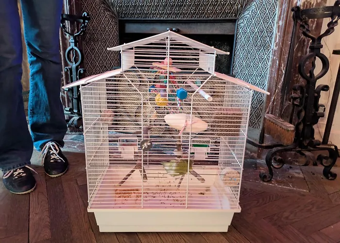 Le Belvedere Des Remparts