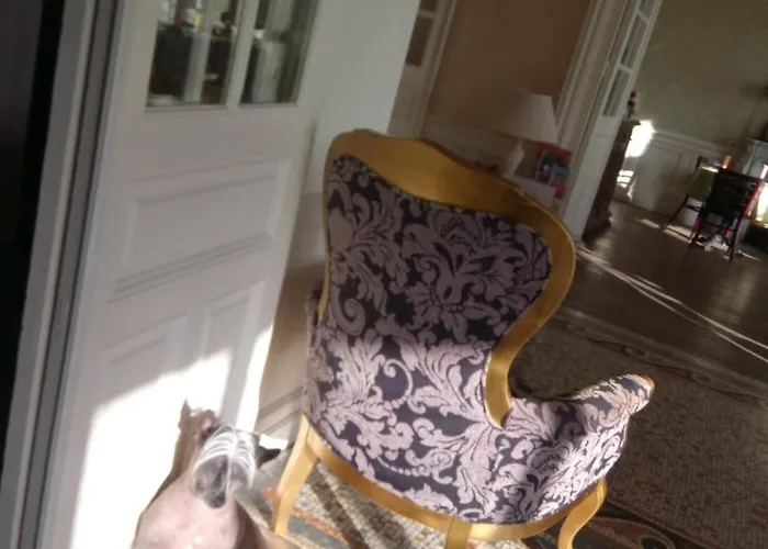 Le Belvedere Des Remparts Bed and breakfast Langres